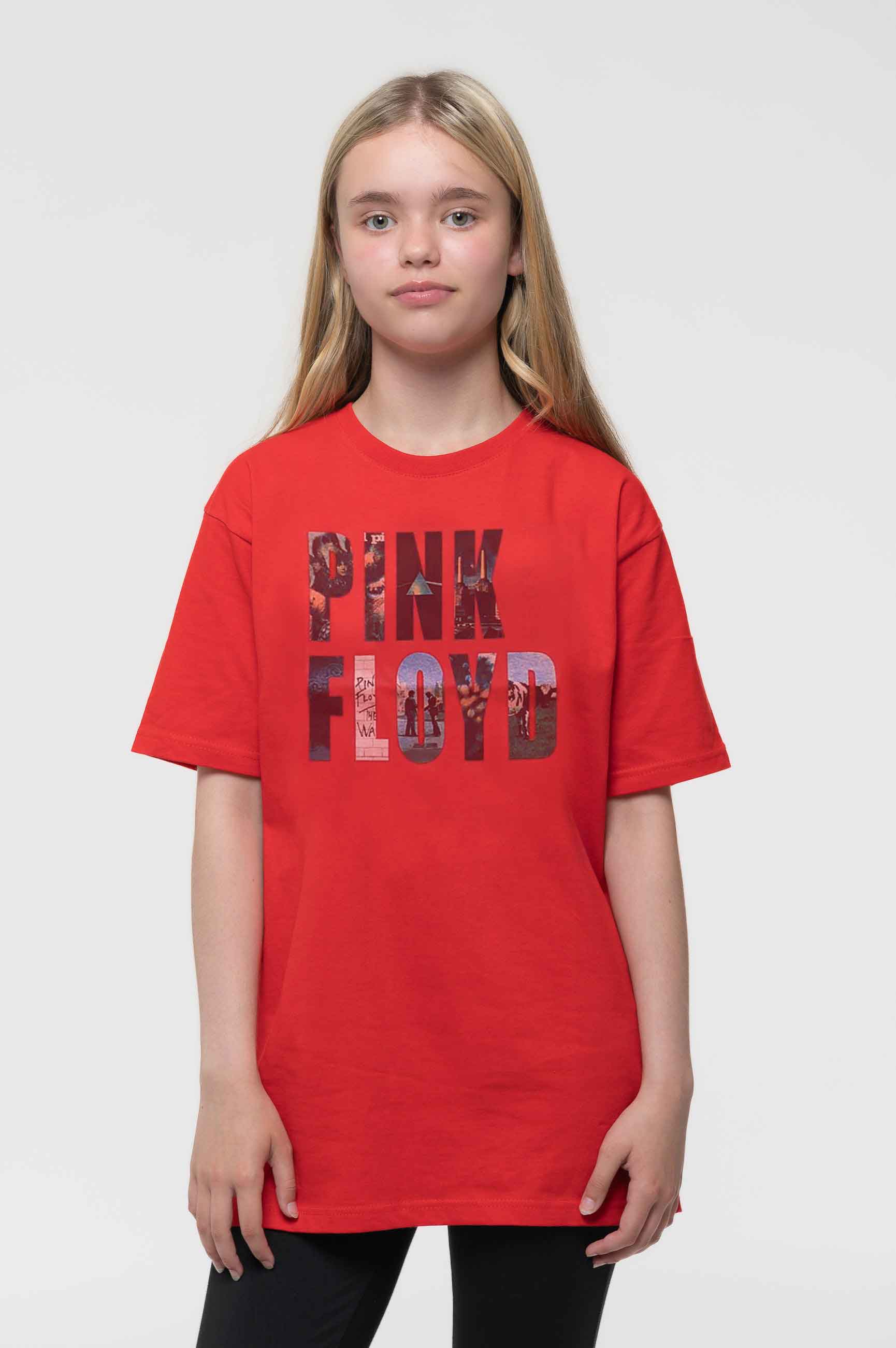 pink floyd echoes t shirt